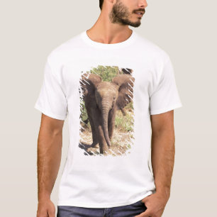 Africa, Kenya, Amboseli National Park. African 2 T-Shirt