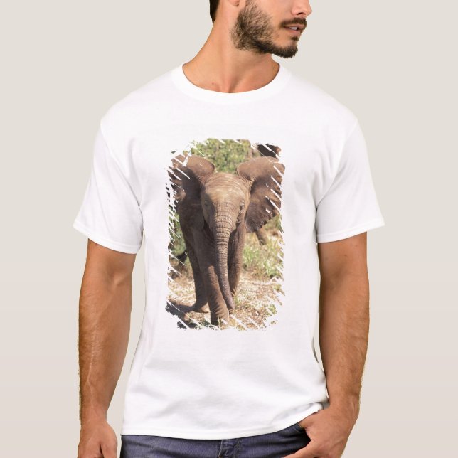 Africa, Kenya, Amboseli National Park. African 2 T-Shirt (Front)
