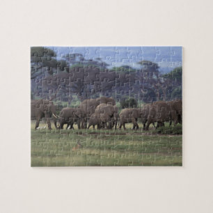Africa, Kenya, Amboseli National Park. African 3 Jigsaw Puzzle