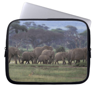 Africa, Kenya, Amboseli National Park. African 3 Laptop Sleeve