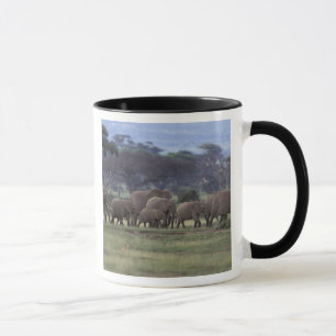 Africa, Kenya, Amboseli National Park. African 3 Mug