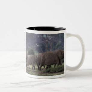Africa, Kenya, Amboseli National Park. African 3 Two-Tone Coffee Mug