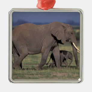 Africa, Kenya, Amboseli National Park. African 4 Metal Tree Decoration