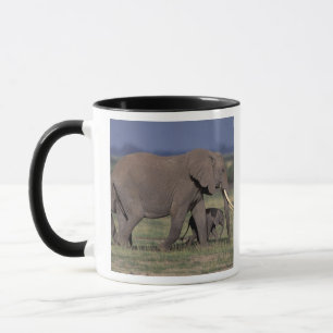 Africa, Kenya, Amboseli National Park. African 4 Mug