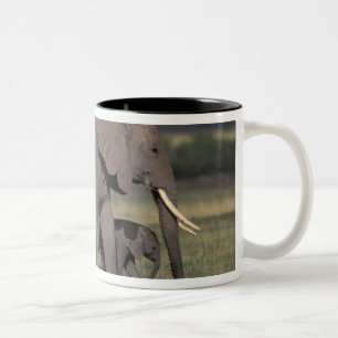 Africa, Kenya, Amboseli National Park. African 4 Two-Tone Coffee Mug