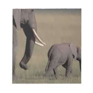 Africa, Kenya, Amboseli National Park. African Notepad