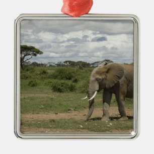 Africa, Kenya, Amboseli National Park, elephant, Metal Tree Decoration