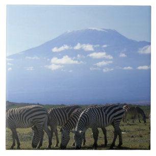 Africa, Kenya, Amboseli National Park, Herd of Ceramic Tile