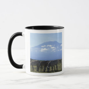Africa, Kenya, Amboseli National Park, Herd of Mug