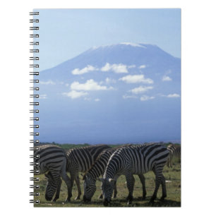 Africa, Kenya, Amboseli National Park, Herd of Notebook