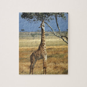 Africa, Kenya, Amboseli NP. A Common, or Masai, Jigsaw Puzzle