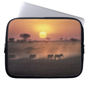 Africa, Kenya, Amboseli NP. Zebra walk to the Laptop Sleeve