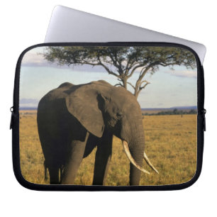Africa, Kenya, Maasai Mara. An elehpant in the Laptop Sleeve