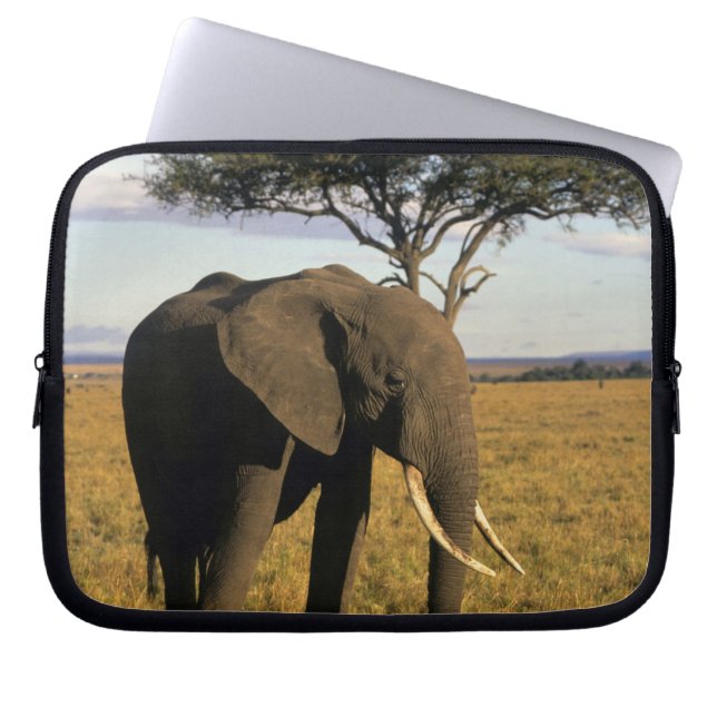 Africa, Kenya, Maasai Mara. An elehpant in the Laptop Sleeve (Front)