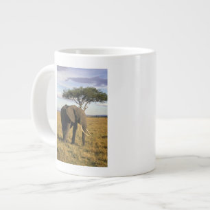 Africa, Kenya, Maasai Mara. An elehpant in the Large Coffee Mug