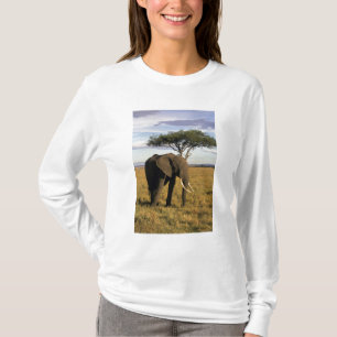 Africa, Kenya, Maasai Mara. An elehpant in the T-Shirt