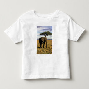 Africa, Kenya, Maasai Mara. An elehpant in the Toddler T-Shirt