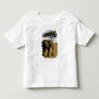 Africa, Kenya, Maasai Mara. An elehpant in the