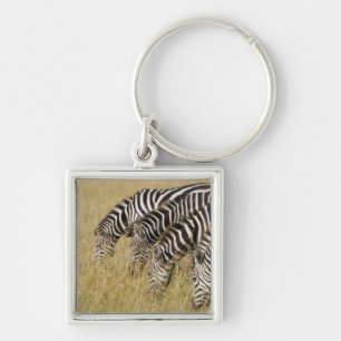Africa, Kenya, Maasai Mara Key Ring