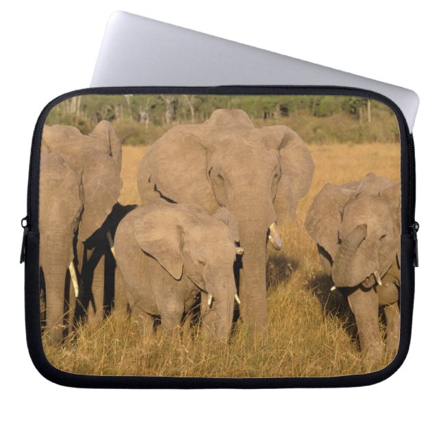 Africa, Kenya, Masai Mara. African Elephant Laptop Sleeve (Front)