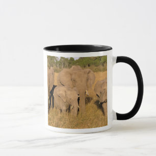 Africa, Kenya, Masai Mara. African Elephant Mug