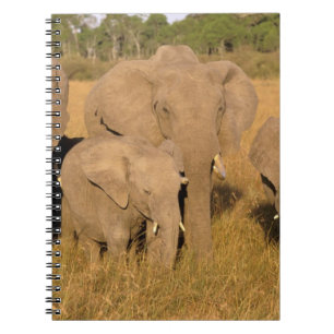 Africa, Kenya, Masai Mara. African Elephant Notebook