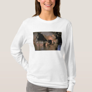 Africa, Kenya, Masai Mara. Common hippopotamuses T-Shirt