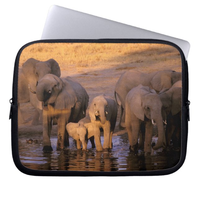 Africa, Kenya, Masai Mara. Elephants (Loxodonta Laptop Sleeve (Front)