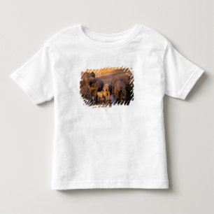 Africa, Kenya, Masai Mara. Elephants (Loxodonta Toddler T-Shirt