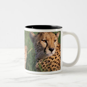 Africa, Kenya, Masai Mara Game Reserve. Cheetah Two-Tone Coffee Mug