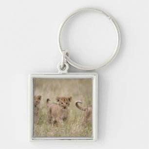 'Africa, Kenya, Masai Mara Game Reserve' Key Ring