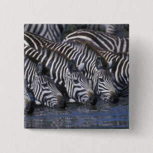 Africa, Kenya, Masai Mara Game Reserve, Plains 15 Cm Square Badge