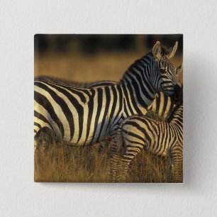 Africa, Kenya, Masai Mara Game Reserve. Plains 15 Cm Square Badge