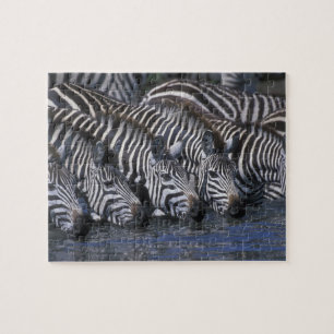 Africa, Kenya, Masai Mara Game Reserve, Plains Jigsaw Puzzle