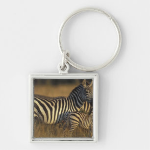 Africa, Kenya, Masai Mara Game Reserve. Plains Key Ring