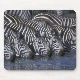 Africa, Kenya, Masai Mara Game Reserve, Plains Mouse Pad