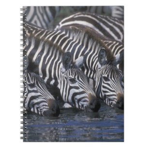 Africa, Kenya, Masai Mara Game Reserve, Plains Notebook