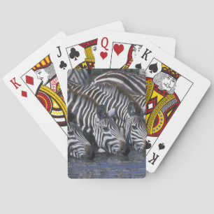 Africa, Kenya, Masai Mara Game Reserve, Plains Playing Cards
