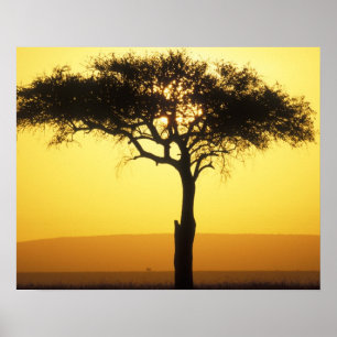 Africa, Kenya, Masai Mara Game Reserve, Rising Poster