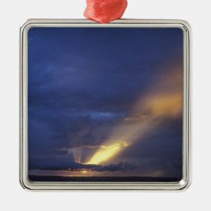 Africa, Kenya, Masai Mara Game Reserve, Setting 2 Metal Ornament