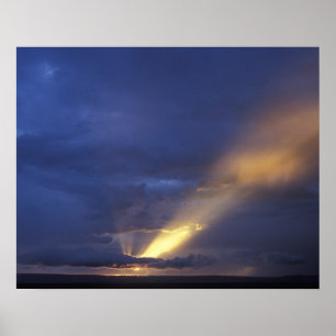 Africa, Kenya, Masai Mara Game Reserve, Setting 2 Poster
