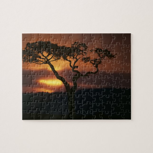 Africa, Kenya, Masai Mara Game Reserve, Setting Jigsaw Puzzle (Horizontal)