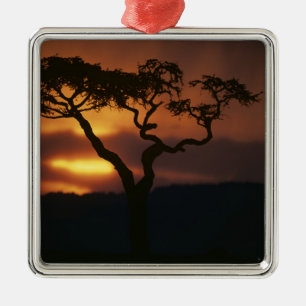 Africa, Kenya, Masai Mara Game Reserve, Setting Metal Tree Decoration
