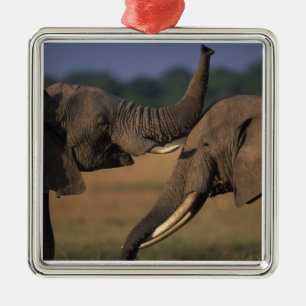 Africa, Kenya, Masai Mara Game Reserve, Two Bull Metal Tree Decoration