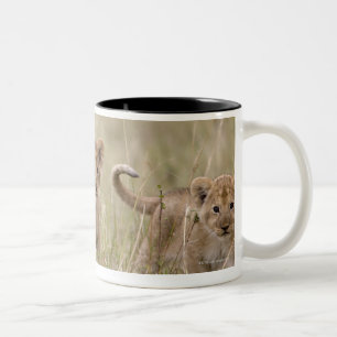 'Africa, Kenya, Masai Mara Game Reserve' Two-Tone Coffee Mug