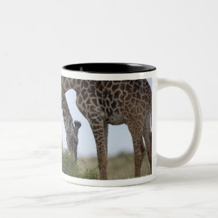Africa, Kenya, Masai Mara Game Reserve, Two Two-Tone Coffee Mug