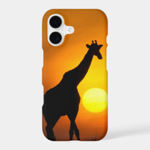 Africa, Kenya, Masai Mara. Giraffe (Giraffe