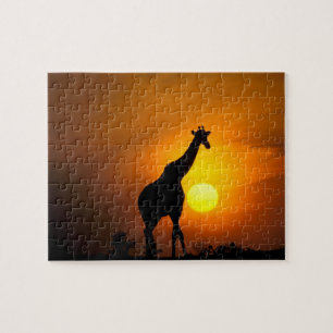 Africa, Kenya, Masai Mara. Giraffe (Giraffe Jigsaw Puzzle