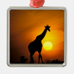 Africa, Kenya, Masai Mara. Giraffe (Giraffe Metal Ornament