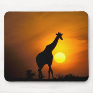 Africa, Kenya, Masai Mara. Giraffe (Giraffe Mouse Pad